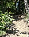 DSC04977