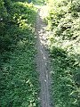 DSC04982