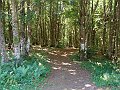 DSC05029