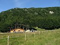 DSC05065