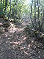 DSC05078