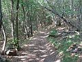 DSC05079