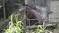 DSCN1983