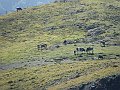 DSC05132