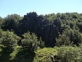 DSC05146