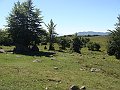 DSC05152