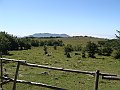 DSC05156