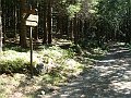DSC05209