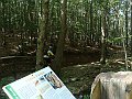 DSC05210