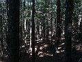 DSC05212
