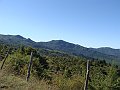 DSC05244