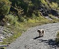 DSC05256