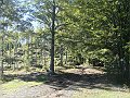 DSC05257