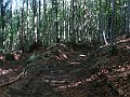 DSC05259
