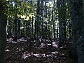 DSC05260