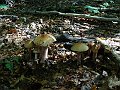 DSC05261