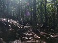 DSC05262