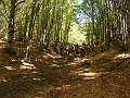 DSC05263
