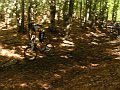 DSC05264