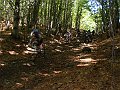 DSC05265