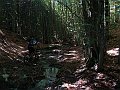 DSC05270