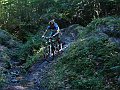 DSC05271