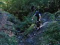 DSC05275