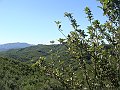 DSC05281