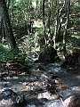 DSC05301