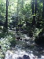 DSC05302