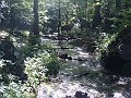 DSC05303