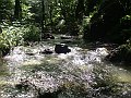 DSC05304