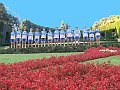 DSC05311