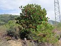 PA030103