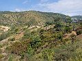 PA030111