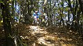 DSCN2857