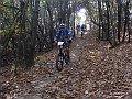 DSC05460