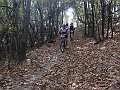 DSC05463