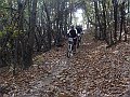 DSC05464
