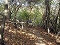 DSC05469