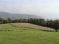 DSC05477