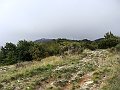 DSC05495