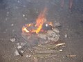 DSC05505