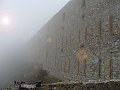 DSC05533