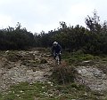 DSC05590