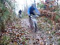 DSC05627