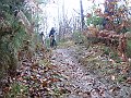DSC05630