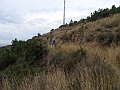 DSC05715