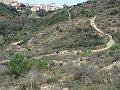 DSC05731