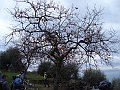 DSC05735